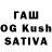 Псилоцибиновые грибы Magic Shrooms Lidija Dedinskajte