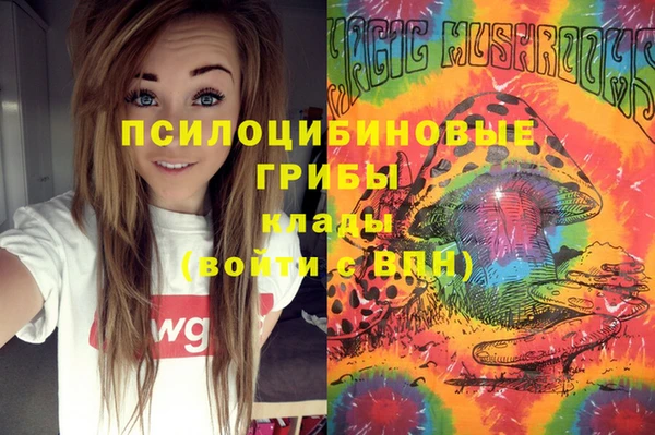 ALPHA PVP Алексеевка