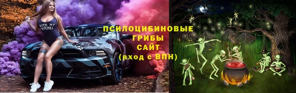 a pvp Алексин