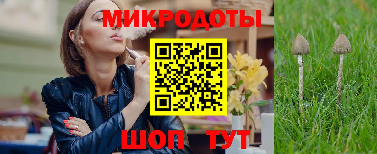 Галлюциногенные грибы Cubensis Лесной
