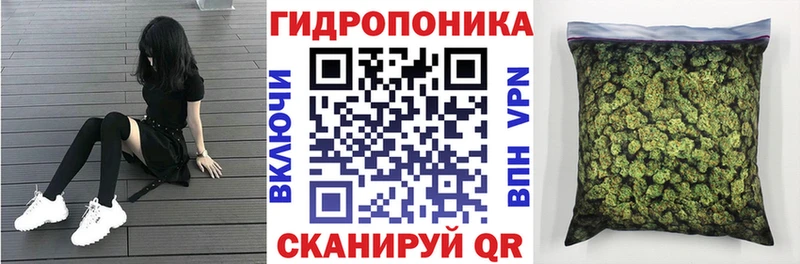 Канабис Amnesia  купить  цена  Лесной 