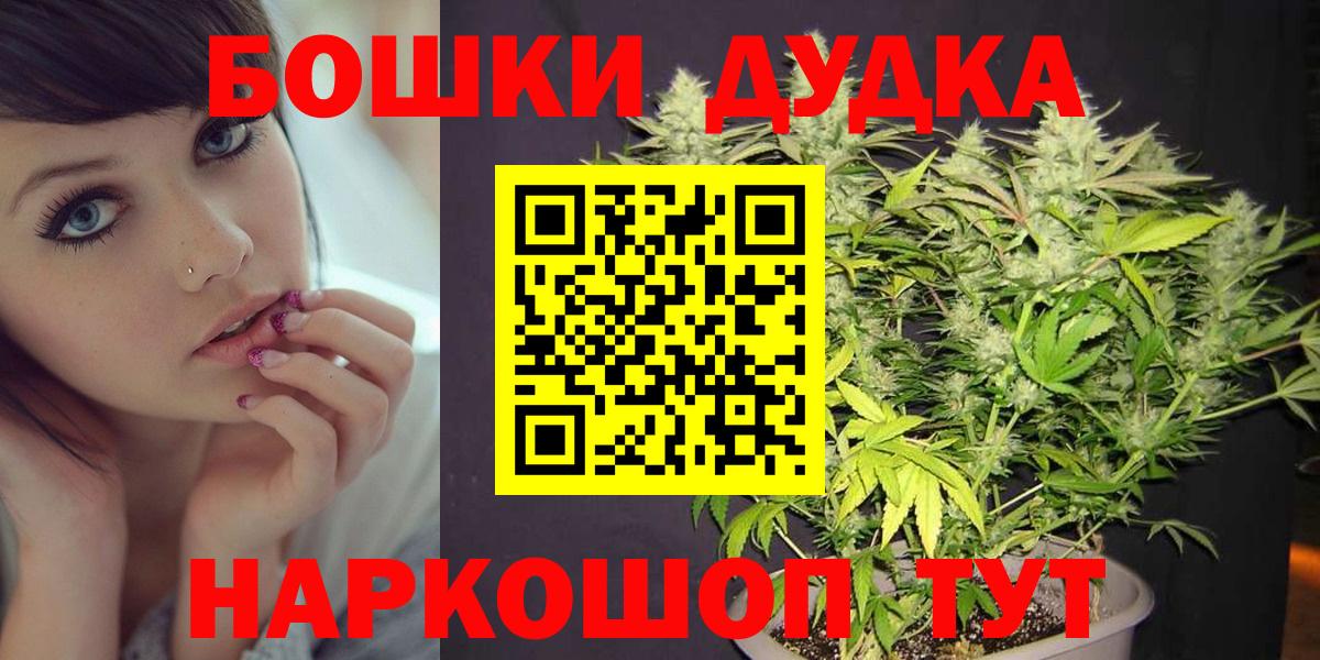 Каннабис Ganja  Вход с VPN  Канабис Bruce Banner  Лесной 